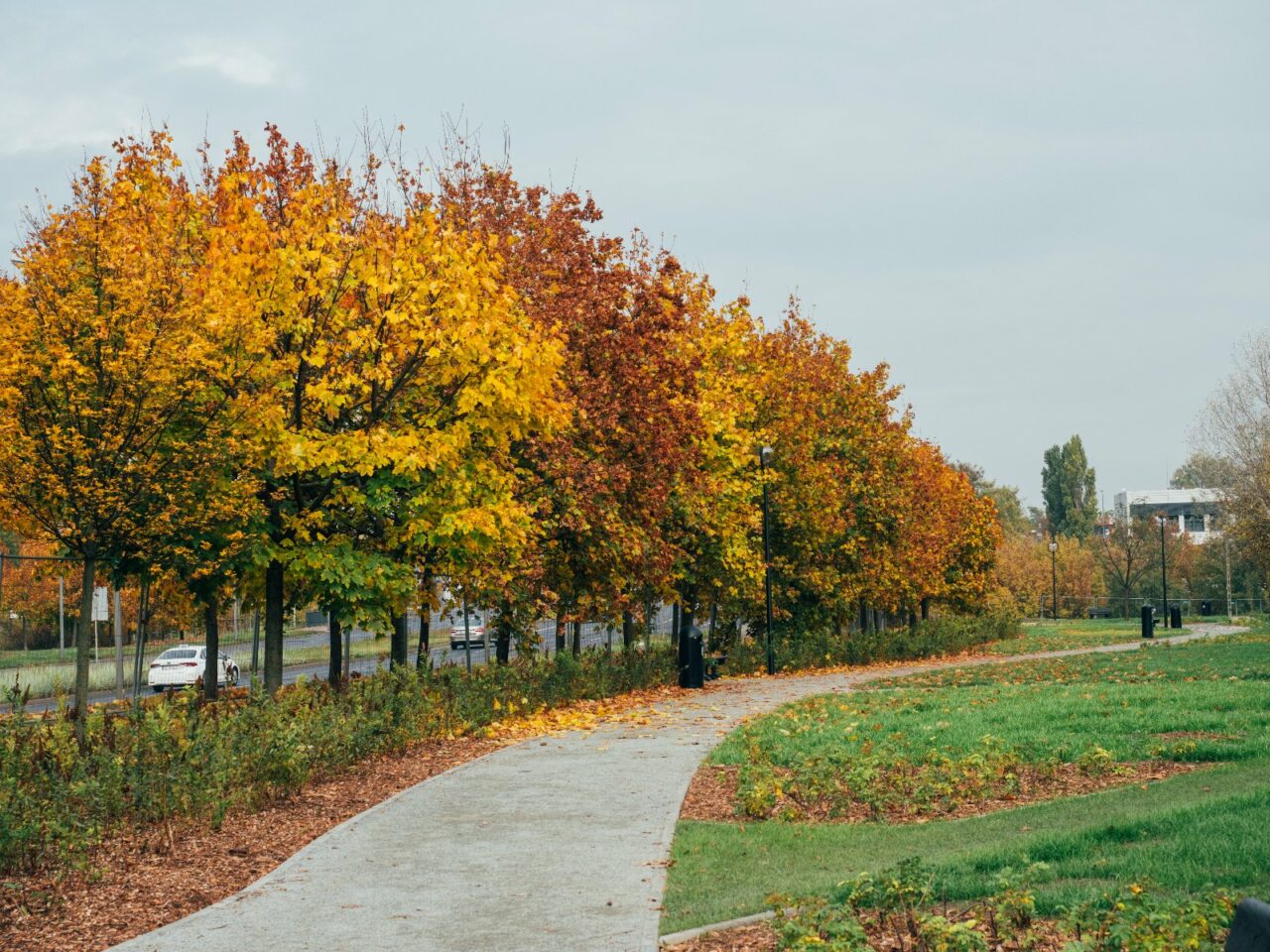 Park im ks Tadeusza Kirschke w Poznaniu z nowymi ścieżkami spacerowymi