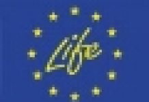 186 mln euro dla 143 nowych projektów LIFE+