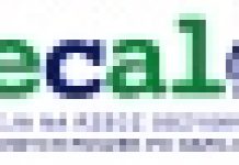 Zbiorą puszki na wakacjach