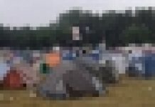 Zielony Woodstock
