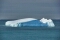 WWF: Arktyka topnieje szybciej niż przewidywano