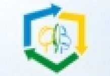 Recyklingowa akcja w Kielcach