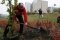 Gdańsk: Morenowa Zieleń