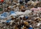 Polska: 320 kg śmieci na osobę