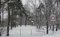 Nowy park w Łodzi