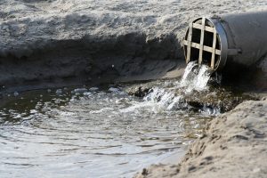 Naukowcy z Politechniki Białostockiej opracowali szybszy sposób biologicznego oczyszczania ścieków