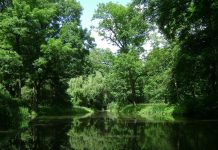 Studencie, zaprojektuj park!