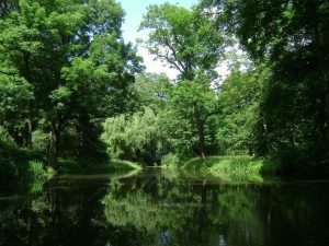 Studencie, zaprojektuj park!