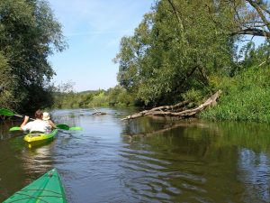Ścieki w Czarnej Hańczy. Zawinili pracownicy