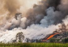 Ryzykowna branża dla ubezpieczycieli?