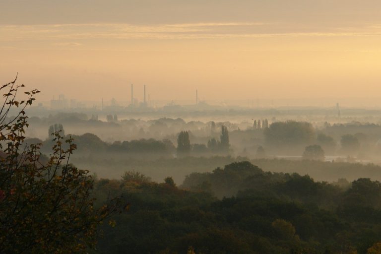 Mieszkańcy Małopolski żądają poprawy jakości powietrza