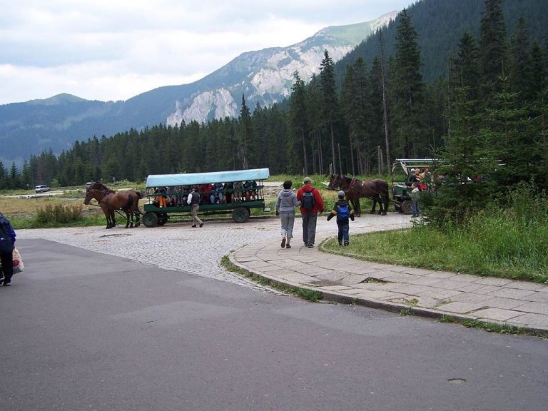 Hybrydowy wóz konny