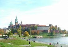Kraków stawia na zieleń