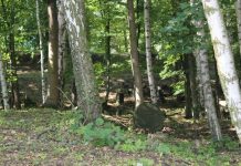 Fundusze na ochronę parków