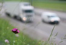 45 tys. ludzi w Polsce umiera rocznie z powodu zanieczyszczonego powietrza