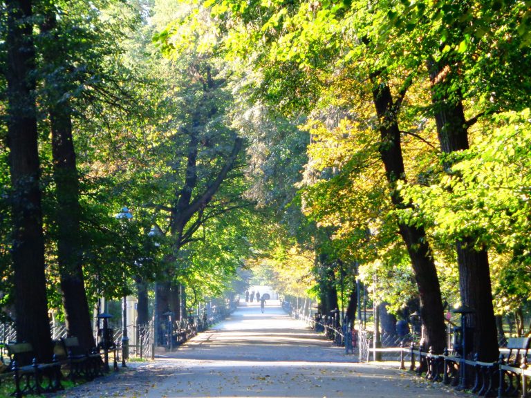 Kraków będzie jeszcze bardziej zielony
