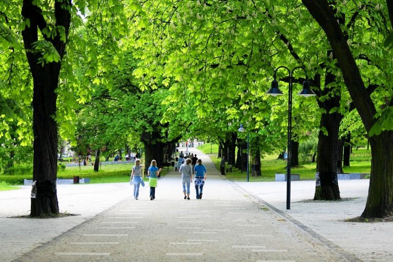 Szczecin zielenią stoi