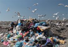 Zielone wzgórza zamiast hałd śmieci