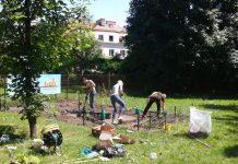 “Jadalny Poznań” – obywatelska akcja na Sołaczu