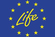 NFOŚiGW ogłasza nabór do programu LIFE 2015