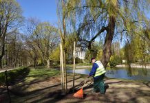 Nowe drzewa w Ogrodzie Saskim