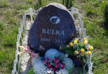 Krakowianie chcą grzebowiska dla zwierząt