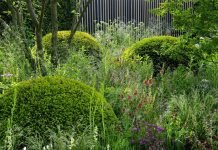 Realistyczny obraz ogrodów na Chelsea Flower Show w Londynie