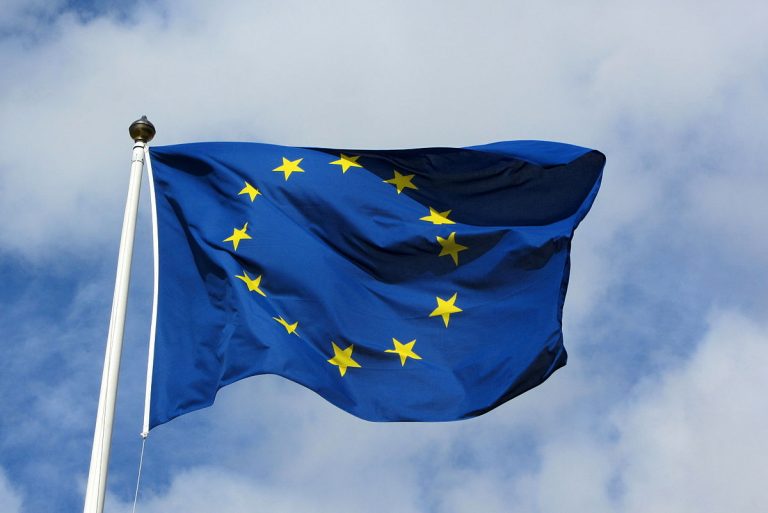 Rekordowa liczba obywateli UE wzywa do ochrony środowiska
