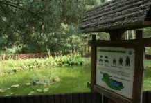 Ścieżki przyrodnicze – edukująca przygoda