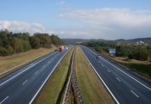 Monitoring przejść dla zwierząt na autostradzie A4