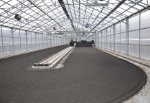 Hybrydowe technologie w Bełchatowie