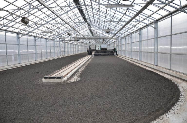 Hybrydowe technologie w Bełchatowie