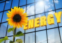 Uniwersytety łącza siły na rzecz „zielonej energii”