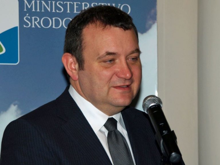 Dymisja wiceministra środowiska