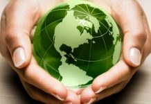 Minister środowiska o papieskiej encyklice “Laudato si'”: “To niezwykle ważny dokument”