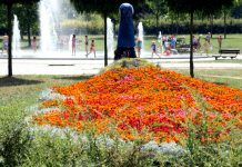 Park Górczyński w Gorzowie