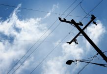Sieci energetyczne problemem dla rozwoju odnawialnych źródeł energii