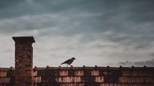 Radom: prawie 2 mln zł na likwidację pieców węglowych
