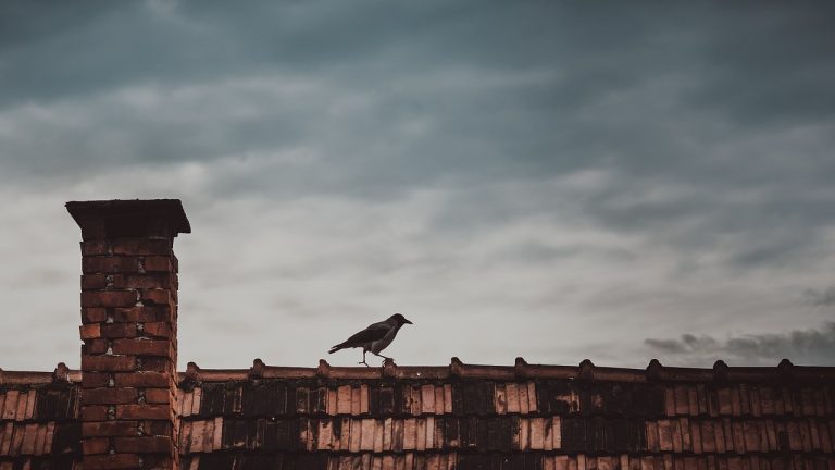 Radom: prawie 2 mln zł na likwidację pieców węglowych