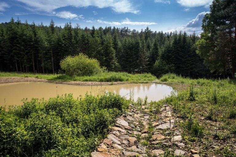 Retencja na terenach wiejskich. NFOŚiGW przekaże 50 mln zł