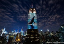 Empire State Whale