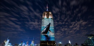 Empire State Whale