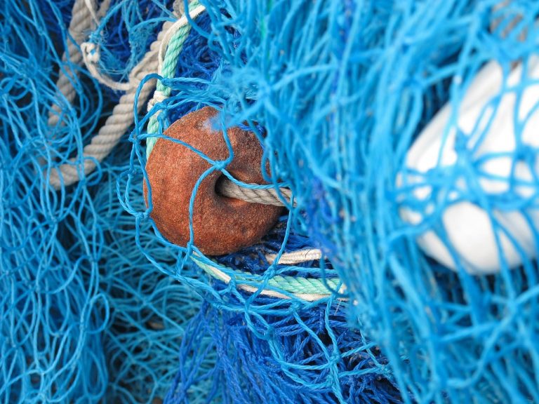 Czysty Bałtyk - ruszyła akcja wyciągania starych sieci rybackich