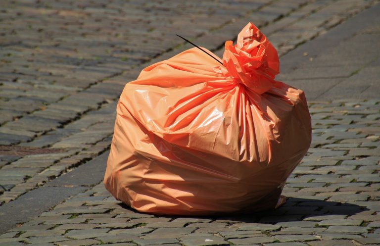 Rewolucja w przemyśle opakowaniowym? Polscy naukowcy stworzyli biodegradowalną folię