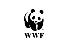 wwf logo