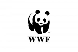 WWF ostrzega: plany rządu mogą doprowadzić do zniszczenia parków krajobrazowych