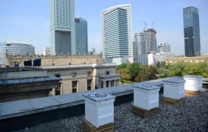 Pszczoły zagościły na dachu Pałacu Kultury i Nauki