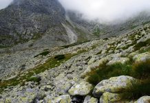 Tatry widok