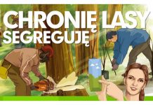 Kraków w trosce o lasy Plakat akcji "Chronię lasy - segreguję"
