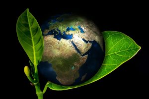 Nowa norma zarządzania środowiskowego - ISO 14001:2015